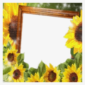 Sunflower Autumn Frame Cadre Tournesol - Picmix #4084746