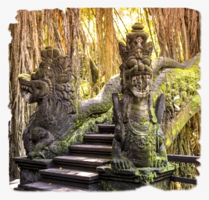 China, Indonesia Y Singapur - Ubud Monkey Forest #4084804