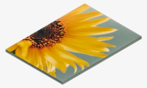 Frame Depth Choices - Canvashq #4084864