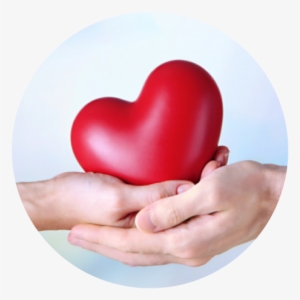 About Public Good - Health Care #4086316