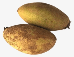 Whole Ciku Fruit Png - Sapodilla #4087666