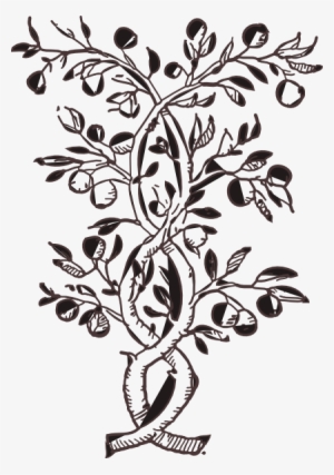 How To Set Use Flower Fruit Icon Png #4087837