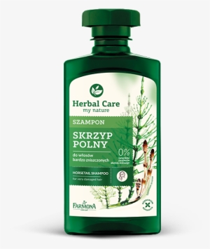 Herbal Care Natural Herbal Shampoos - Horsetail Shampoo #4087921