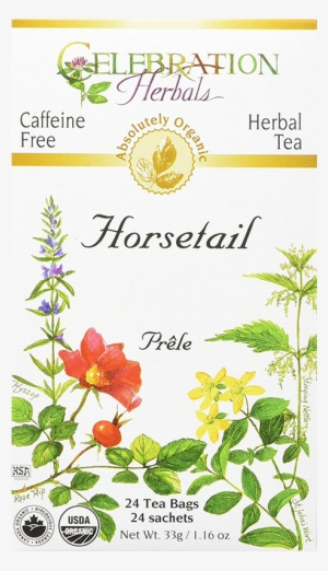 Horsetail Tea - Celebration Herbals Alfalfa Peppermint Tea 24 Tea Bags #4088067
