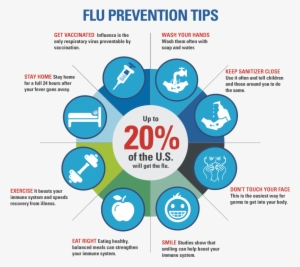 Flu Prevention Tips Infographic - Flu Prevention Tips #4088173
