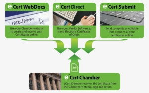 Ecertify Means Fewer Manual Processes, Fewer Errors - Export #4089155