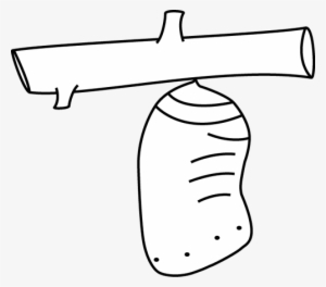 Black And White Butterfly Chrysalis - Black And White Cocoon Clipart #4089181