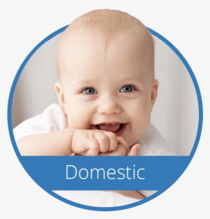 Domestic Adoptions - Love Baby Co 2 X Top Quality Fitted Crib Sheets Fit #4089860