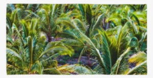 Coco Farm Printed Beach Towel #4090991