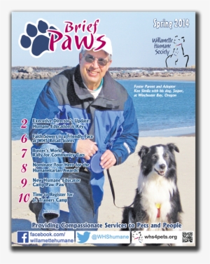 Brief Paws Spring - Willamette Humane Society #4091380