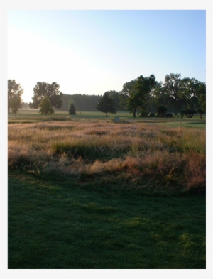 Oakland Beach Golf Course #4091473