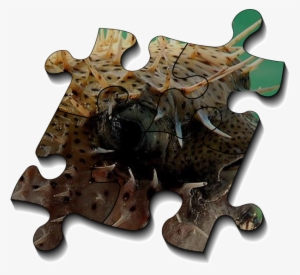 Any Network System With Buffering Shared Among Many - Router #4091627