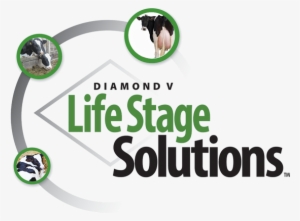 Dairy Nutrition And Health - Veterinary Medicine #4092291