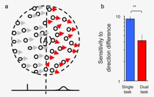 Schematic Diagram Of The Rdk Used In Experiment - Diagram #4094548