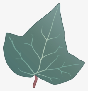 Ian Symbol Hedera Helix Leaf - English Ivy Leaf #4095037