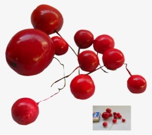 Mob Img - Red Berries Png #4095917 Mob Img - Red Berries Png #4095917