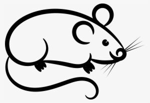 Rat Mouse Clipart White - Clip Art #4095945