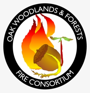 "fire Is A Process Integrally Embedded Into Life On - Harish Chandra Pg College Logo #4096907