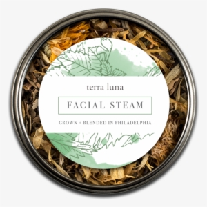 Terra Facial #4097042