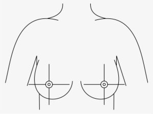 File - Breast Quadrants - Svg - Breast #4097112