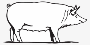 Barn Outline Outline Drawing Barn Farm Pig Art Animal - Porco Branco Png #4097474