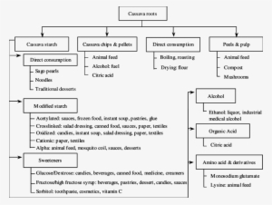 Cassava Root Processing Into Value-added Products - Product #4097568