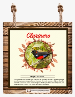 Your Browser Does Not Support The Audio Tag #4097612