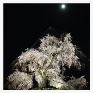 The Lanterns Along The Way Illuminate A Number Of Ancient - Moon #4097887