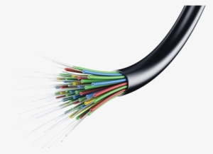 Fiber Lives Up To The Hype #4098173