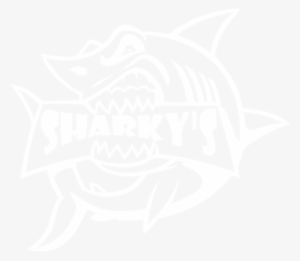 Sharky's Galveston #4098243