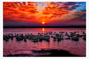 Medium Image - Sunset #4098335