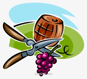 Grapes, Shears And A Wine Barrel Royalty Free Vector - Vineyard Workers Clip Art #4098693