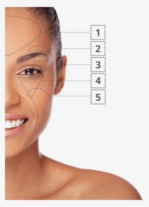 Instantly Ageless Wrinkle Cream - Instantly Ageless #4099132