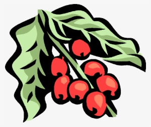 Coffee Plant #4099692