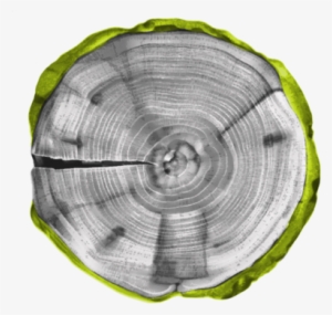 Faqs - Tree Stump Round #4099720