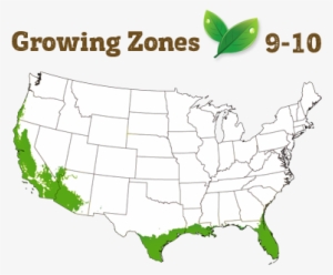 Shipping Restriction - Transparent Us Map Clear #4099915