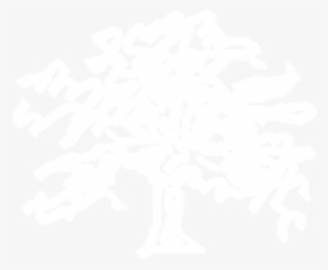 Nottingham Tree-ring Dating Laboratory - Hyatt Regency Logo White #4099936