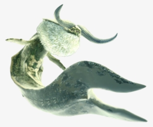 Not Strictly A Sea Monster I Suppose, But Caedus Is - Argosy Monster Hunter Tri U #410655