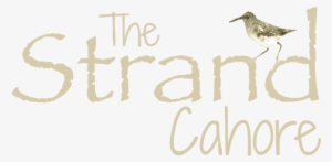 Strand Bar Cahore Logo - Old Straw Hat #414576