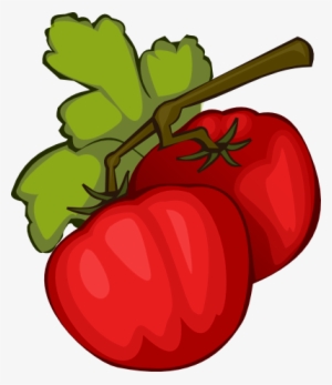 Tomato Clipart Pepper Plant - Tomato Clip Art - Free Transparent PNG ...