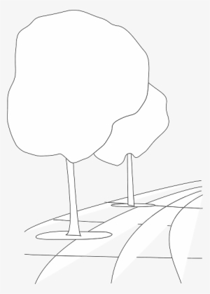 City, Outline, Street, Pavement, Trees, Tree - Street #415460