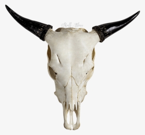 Carved Cow Skull - Cattle #415751