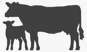 Angus Media - Black Angus Cow Silhouette #415798
