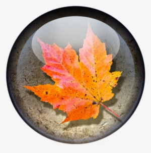 Artistic Photography - Photography #417117