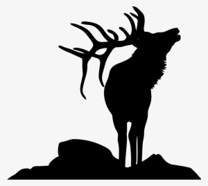 Bugling Elk Silhouette #417997