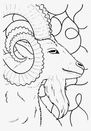 0 Replies 0 Retweets 1 Like - Horn #418152