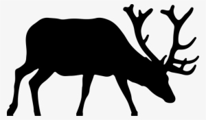 Animal Antlers Deer Elk Silhouette Deer De - Elk Clipart #418281
