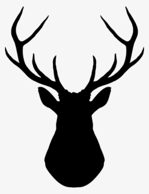 Animal Silhouette #418790