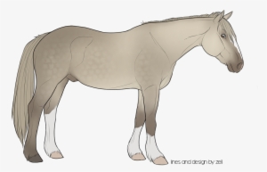 Pastel Rainbow With A Little Extra Purple Or Shades - Stallion #418890