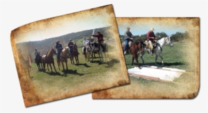 Specializing In Trail Riding And Competitive Ranch - Horse Training #418919